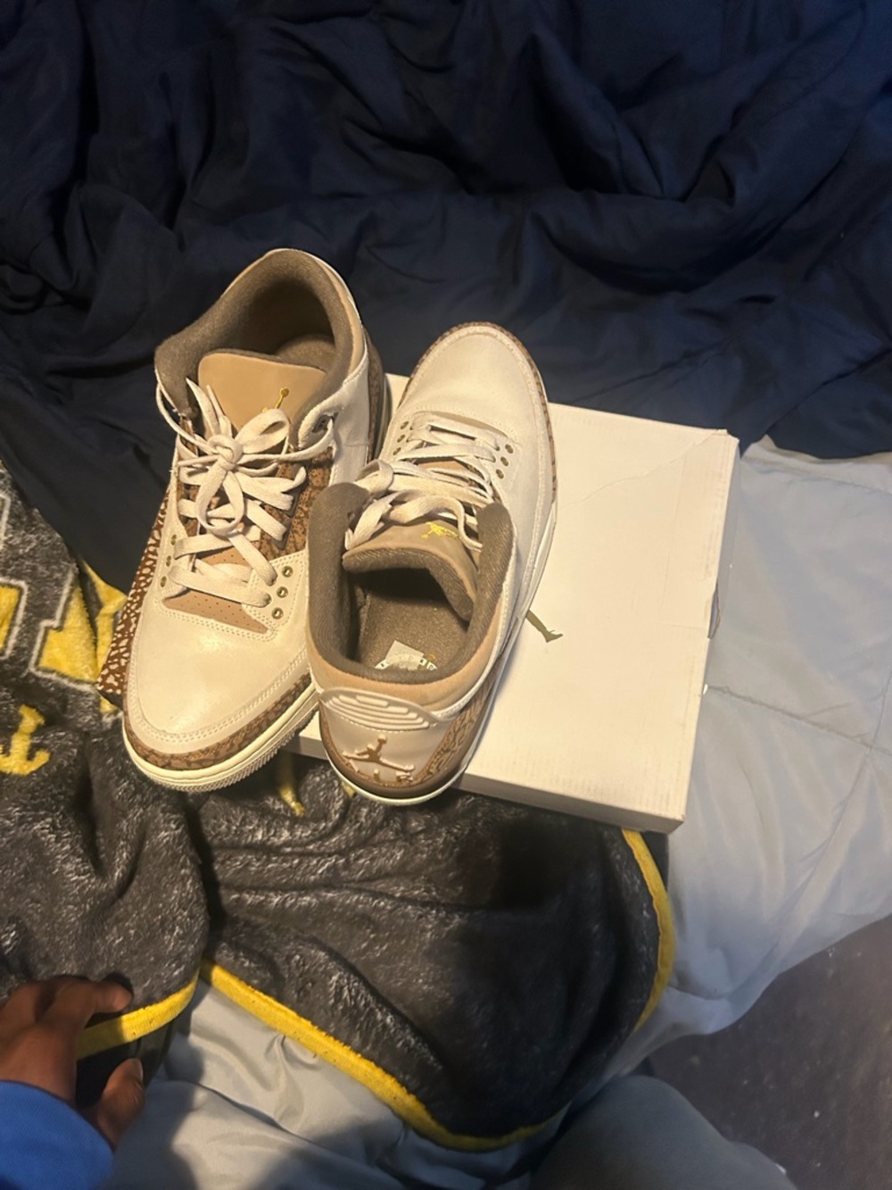 Jordan Men’s Sneakers in Beige and Light Brown